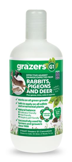 grazers-g1-rabbits-pigeons--deer