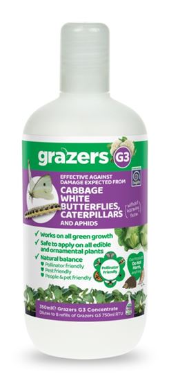grazers-g3-cabbage-white-butterflies--caterpillars