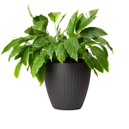 garden-central-madison-ribbed-slate-planter