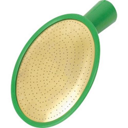 fine-as-rain-oval-plastic-rose
