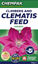chempak-clematis-food