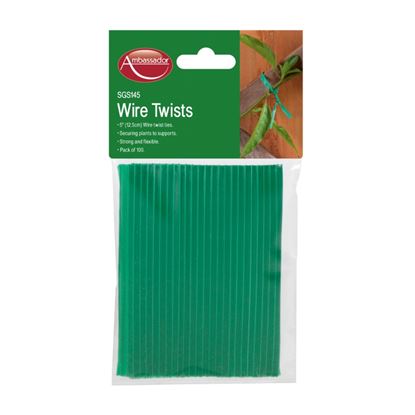 ambassador-wire-twists