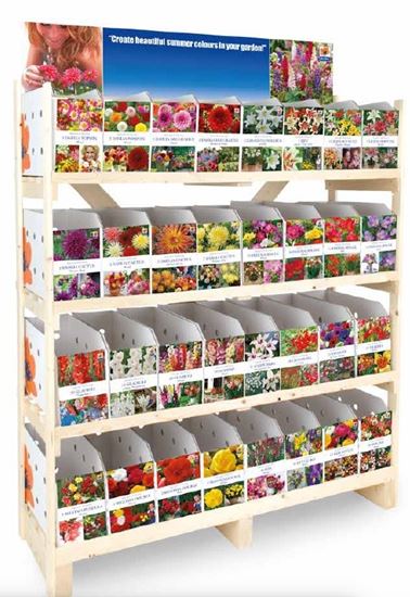 de-ree-uk-summer-bulb-collection