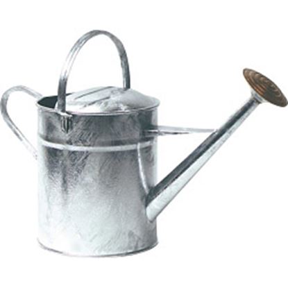 ambassador-galvanised-watering-can