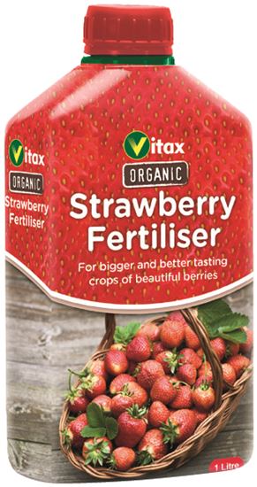 vitax-organic-liquid-strawberry-feed
