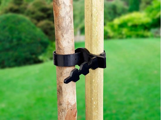 ambassador-tree-tie