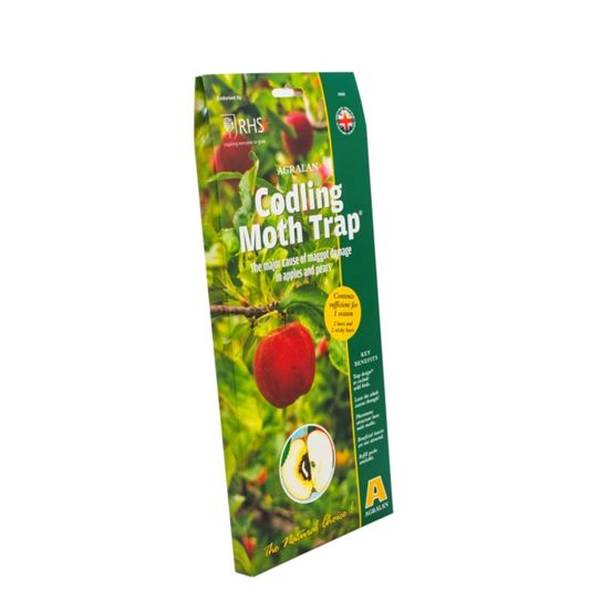 agralan-codling-moth-trap
