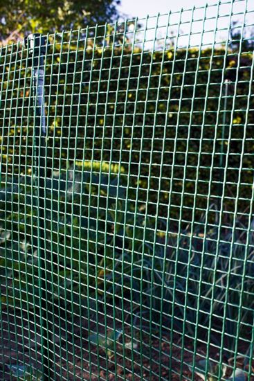 ambassador-garden-mesh