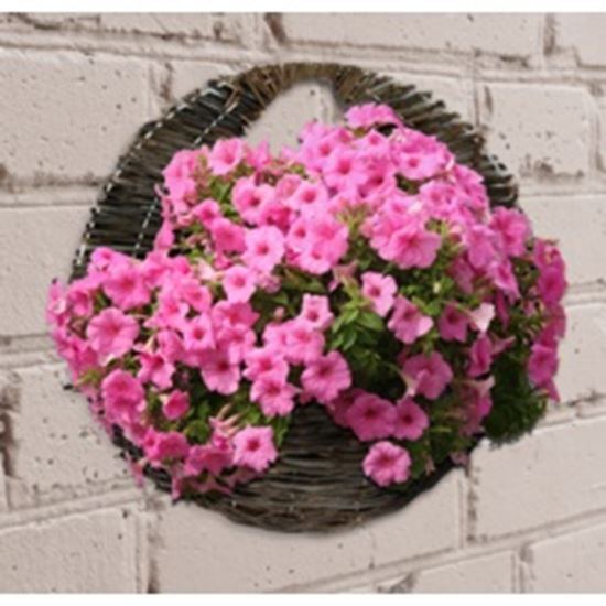 ambassador-willow-wall-basket