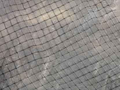 ambassador-crop-and-pond-protection-netting