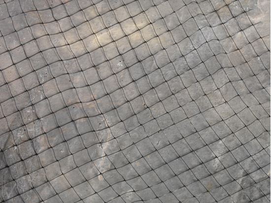 ambassador-crop-and-pond-protection-netting