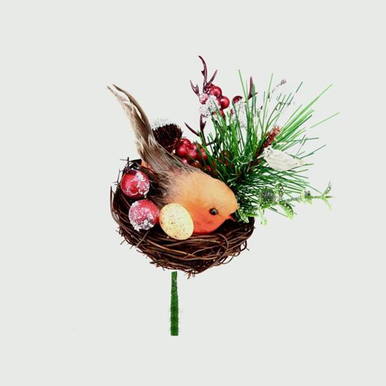 premier-robin-in-a-nest-pick