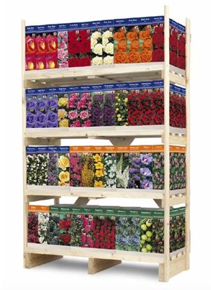 de-ree-uk-roses-and-shrubs