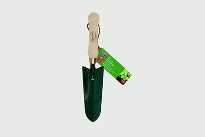 ambassador-carbon-steel-transplanter