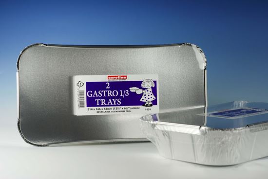 caroline-gastronorm-13-tray