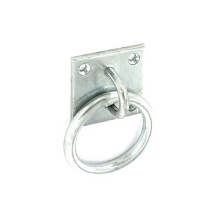 securit-ring-on-plate