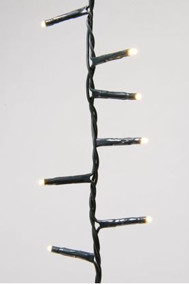 kaemingk-led-twinkle-compact-lights