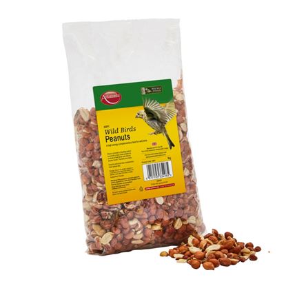 ambassador-peanuts