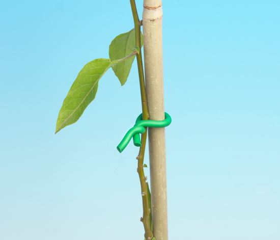 ambassador-twist-tie