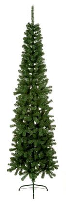 premier-spruce-pine