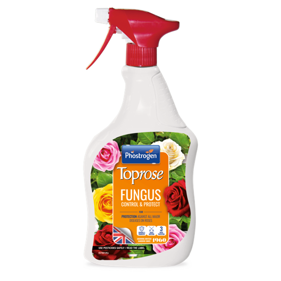 toprose-fungus-control--protect