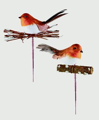 premier-robin-pick