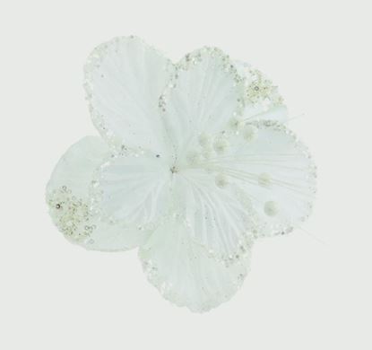 premier-hibiscus-flower