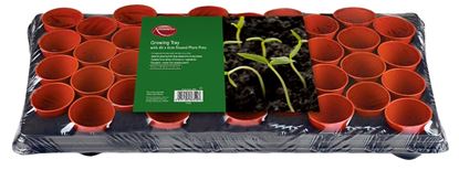 ambassador-growing-tray