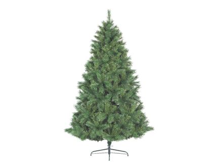 kaemingk-ontario-green-pine-tree