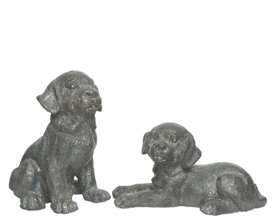 kaemingk-poly-magnesium-dog