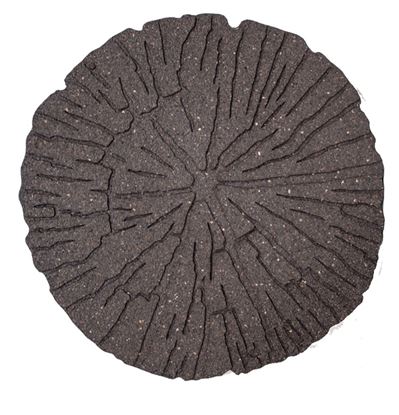 primeur-stepping-stone-cracked-log