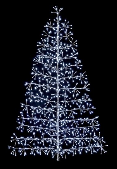 premier-starburst-tree