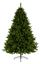 premier-king-pine-tree