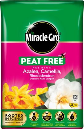 miracle-gro-ericaceous-peat-free-compost