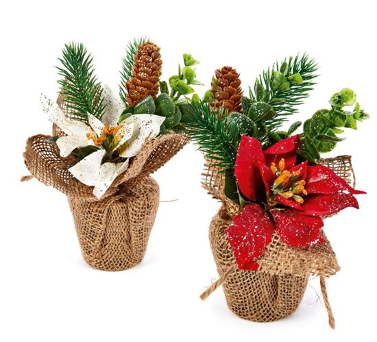premier-poinsettia-arrangement