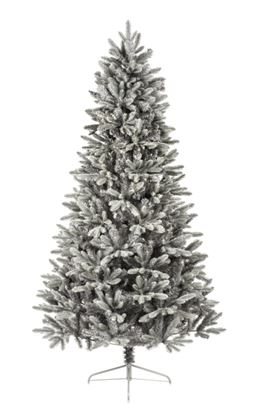 premier-cherry-pine