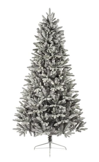premier-cherry-pine
