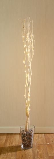 premier-white-twig-12m