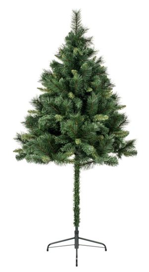 premier-parasol-tree-408-tips