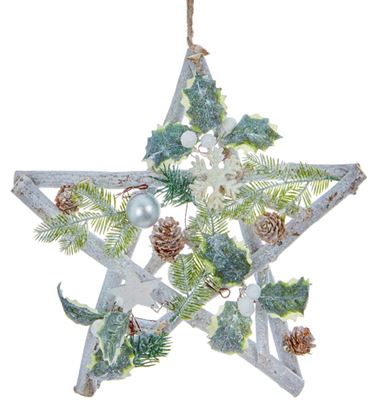 premier-natural-star-hanger