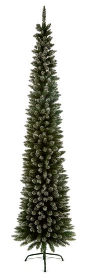 premier-pencil-pine-snow-tipped