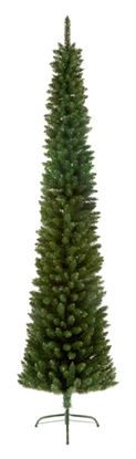 premier-green-pencil-pine