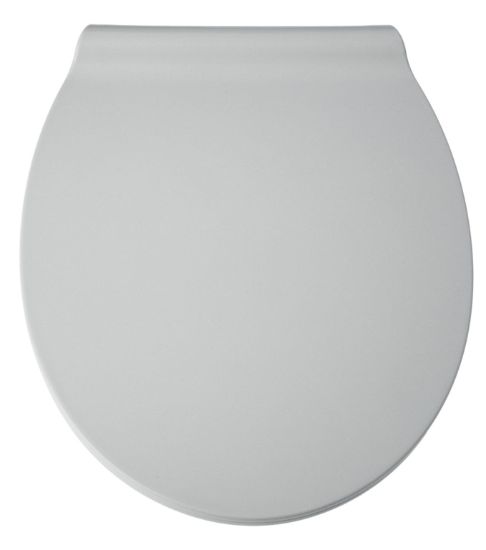 blue-canyon-croydon-duroplastic-soft-close-toilet-seat