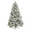 premier-lumi-spruce