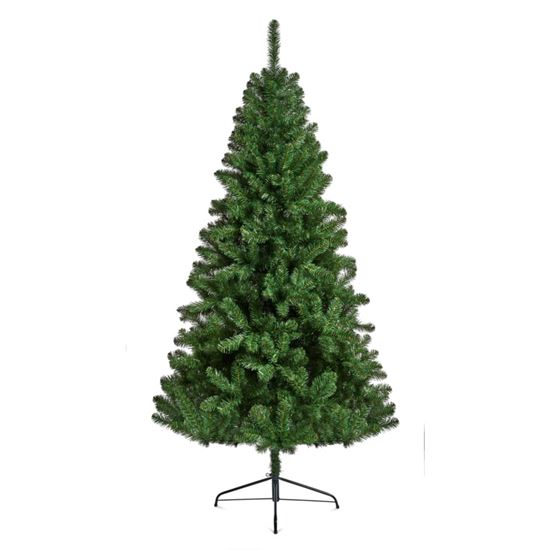 premier-northcote-pine-tree