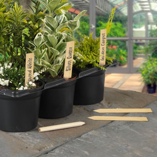 ambassador-bamboo-plant-labels--pencil-10-piece
