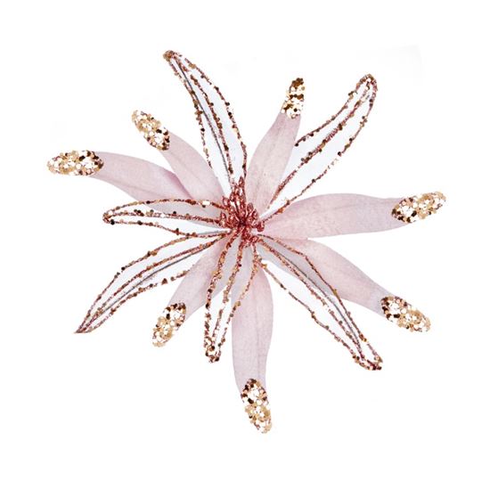 premier-pink-sheer-velvet-poinsettia