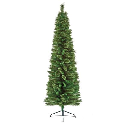 premier-needle-spruce-pencil-tree