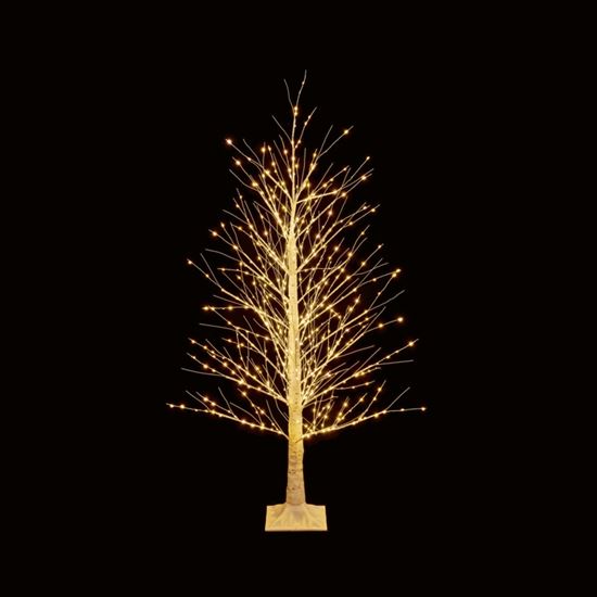 premier-12m-birch-tree-warm-white