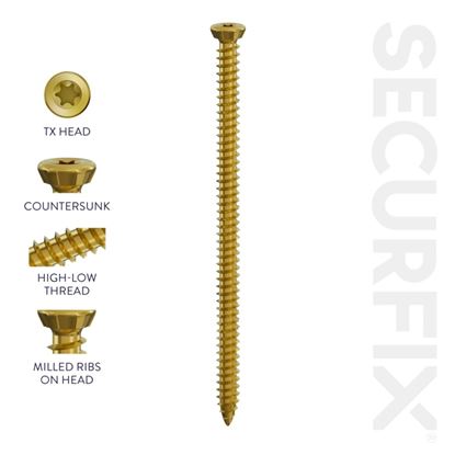 securfix-concrete-frame-screw-10-pack